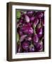 Purple eggplant, Seafront Market, St-Paul, Reunion Island, France-Walter Bibikow-Framed Premium Photographic Print