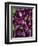 Purple eggplant, Seafront Market, St-Paul, Reunion Island, France-Walter Bibikow-Framed Premium Photographic Print