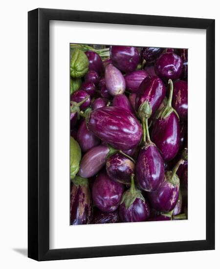 Purple eggplant, Seafront Market, St-Paul, Reunion Island, France-Walter Bibikow-Framed Premium Photographic Print