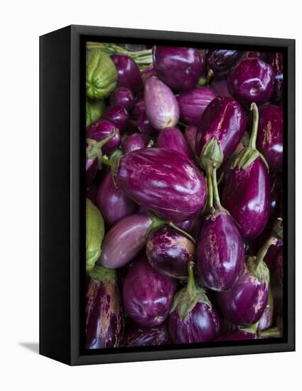 Purple eggplant, Seafront Market, St-Paul, Reunion Island, France-Walter Bibikow-Framed Stretched Canvas