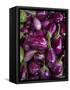 Purple eggplant, Seafront Market, St-Paul, Reunion Island, France-Walter Bibikow-Framed Stretched Canvas