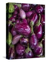 Purple eggplant, Seafront Market, St-Paul, Reunion Island, France-Walter Bibikow-Stretched Canvas