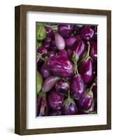 Purple eggplant, Seafront Market, St-Paul, Reunion Island, France-Walter Bibikow-Framed Photographic Print