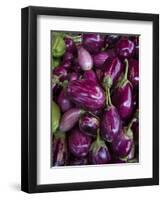 Purple eggplant, Seafront Market, St-Paul, Reunion Island, France-Walter Bibikow-Framed Photographic Print