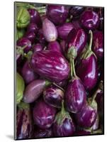 Purple eggplant, Seafront Market, St-Paul, Reunion Island, France-Walter Bibikow-Mounted Photographic Print