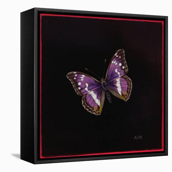 Purple Emperor Butterfly, 2000-Amelia Kleiser-Framed Stretched Canvas