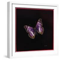 Purple Emperor Butterfly, 2000-Amelia Kleiser-Framed Giclee Print