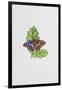 Purple Emperor Butterfly on Oak Leaves-Elizabeth Rice-Framed Giclee Print