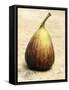 Purple Fig-Foodcollection-Framed Stretched Canvas