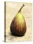 Purple Fig-Foodcollection-Stretched Canvas