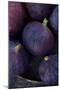 Purple Figs Ii-Den Reader-Mounted Premium Photographic Print