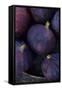 Purple Figs Ii-Den Reader-Framed Stretched Canvas