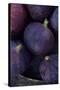 Purple Figs Ii-Den Reader-Stretched Canvas