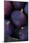 Purple Figs Ii-Den Reader-Mounted Photographic Print