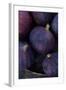 Purple Figs Ii-Den Reader-Framed Photographic Print