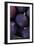 Purple Figs Ii-Den Reader-Framed Photographic Print