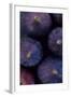 Purple Figs Iii-Den Reader-Framed Photographic Print