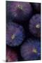 Purple Figs Iii-Den Reader-Mounted Photographic Print