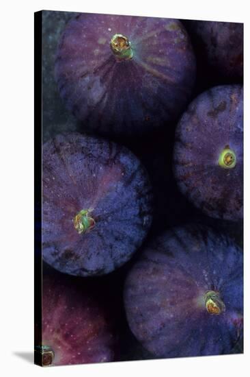 Purple Figs Iii-Den Reader-Stretched Canvas