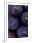 Purple Figs Iii-Den Reader-Framed Photographic Print