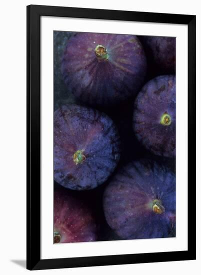 Purple Figs Iii-Den Reader-Framed Photographic Print