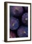 Purple Figs Iii-Den Reader-Framed Photographic Print