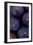 Purple Figs Iii-Den Reader-Framed Photographic Print