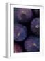 Purple Figs Iii-Den Reader-Framed Photographic Print