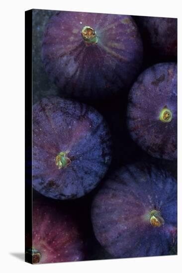 Purple Figs Iii-Den Reader-Stretched Canvas