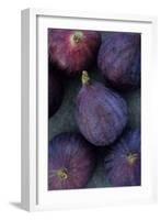 Purple Figs-Den Reader-Framed Photographic Print