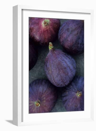 Purple Figs-Den Reader-Framed Photographic Print