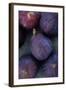 Purple Figs-Den Reader-Framed Photographic Print