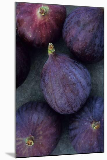 Purple Figs-Den Reader-Mounted Photographic Print
