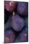Purple Figs-Den Reader-Mounted Photographic Print