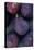 Purple Figs-Den Reader-Stretched Canvas