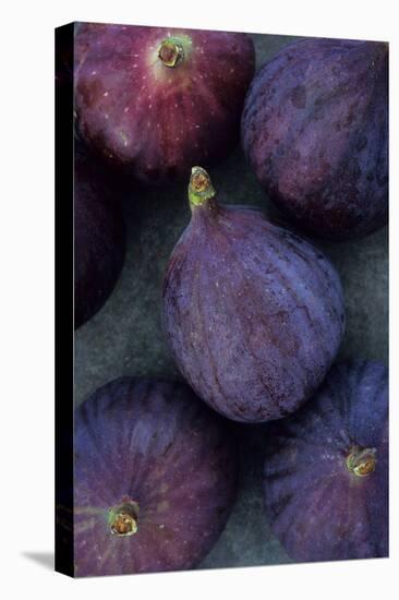 Purple Figs-Den Reader-Stretched Canvas