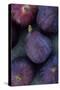 Purple Figs-Den Reader-Stretched Canvas