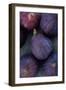 Purple Figs-Den Reader-Framed Premium Photographic Print