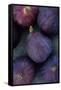 Purple Figs-Den Reader-Framed Stretched Canvas