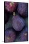 Purple Figs-Den Reader-Stretched Canvas