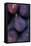 Purple Figs-Den Reader-Framed Stretched Canvas