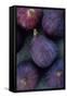 Purple Figs-Den Reader-Framed Stretched Canvas