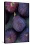 Purple Figs-Den Reader-Stretched Canvas