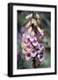 Purple Fingers, 2010-Cruz Jurado Traverso-Framed Premium Giclee Print