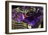 Purple Flamer I-Alan Hausenflock-Framed Photographic Print