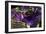 Purple Flamer I-Alan Hausenflock-Framed Photographic Print