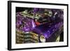 Purple Flamer I-Alan Hausenflock-Framed Photographic Print