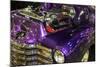 Purple Flamer I-Alan Hausenflock-Mounted Photographic Print