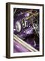 Purple Flamer II-Alan Hausenflock-Framed Photographic Print