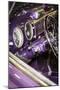Purple Flamer II-Alan Hausenflock-Mounted Photographic Print